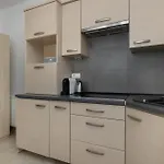 Przestronne W Zakopanem Z Parkingiem By Renters Διαμέρισμα