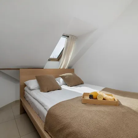 Przestronne W Zakopanem Z Parkingiem By Renters Apartment *