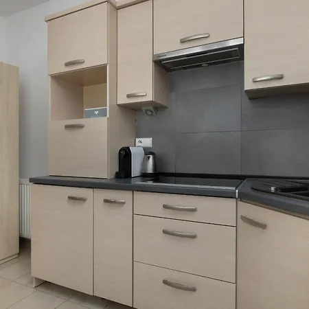 Przestronne W Zakopanem Z Parkingiem By Renters Apartment